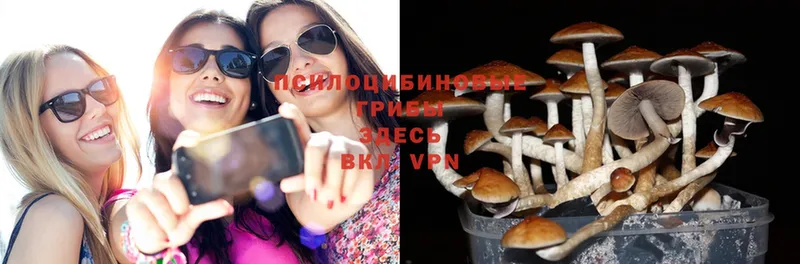 Псилоцибиновые грибы Magic Shrooms  Кандалакша 